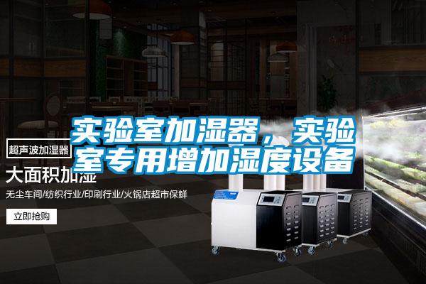 實(shí)驗(yàn)室加濕器，實(shí)驗(yàn)室專用增加濕度設(shè)備