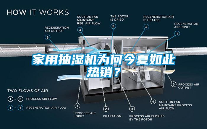 家用抽濕機(jī)為何今夏如此熱銷？