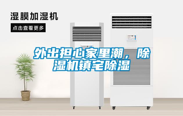外出擔心家里潮，除濕機鎮(zhèn)宅除濕