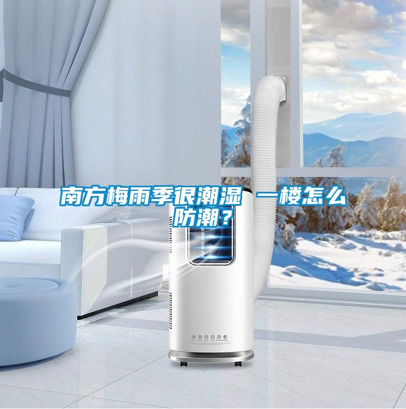 南方梅雨季很潮濕 一樓怎么防潮？