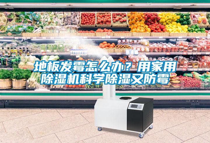 地板發(fā)霉怎么辦？用家用除濕機(jī)科學(xué)除濕又防霉