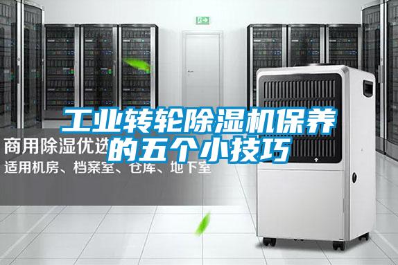 工業(yè)轉(zhuǎn)輪除濕機保養(yǎng)的五個小技巧