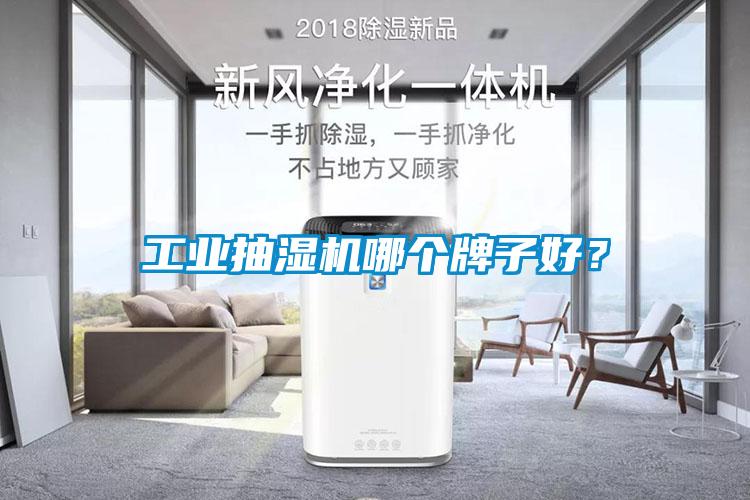 工業(yè)抽濕機(jī)哪個牌子好？