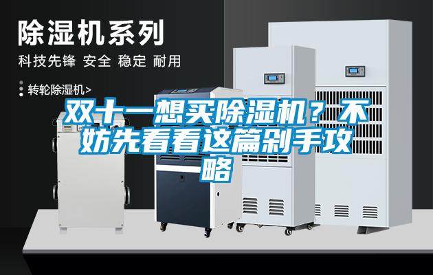 雙十一想買(mǎi)除濕機(jī)？不妨先看看這篇剁手攻略