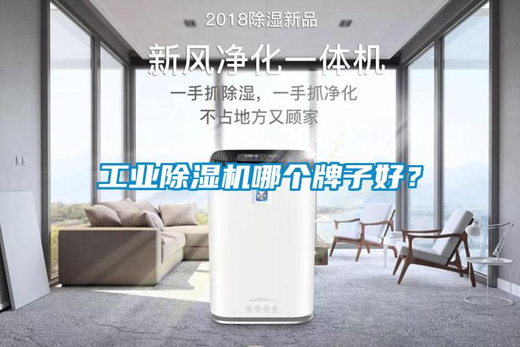 工業(yè)除濕機哪個牌子好？
