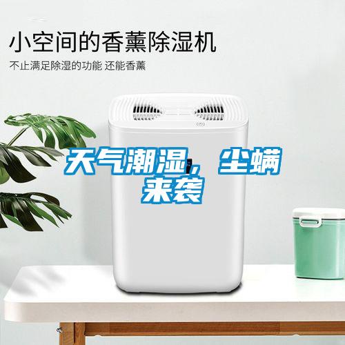 天氣潮濕，塵螨來襲