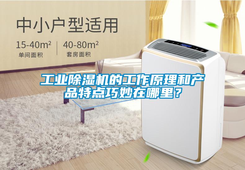 工業(yè)除濕機(jī)的工作原理和產(chǎn)品特點(diǎn)巧妙在哪里？