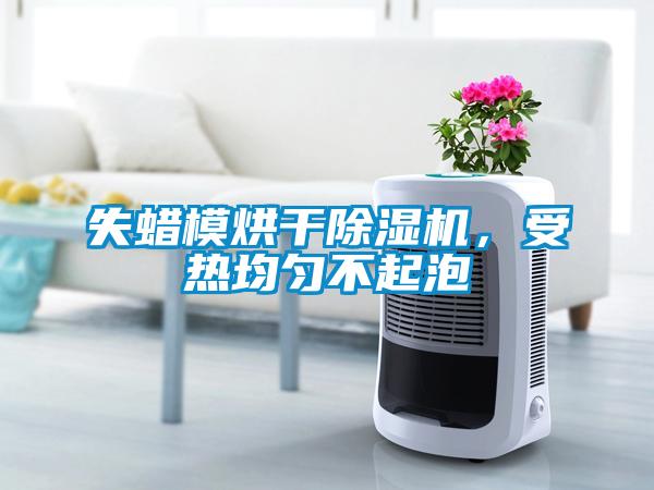 失蠟模烘干除濕機，受熱均勻不起泡