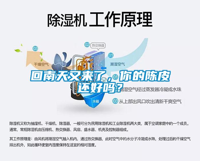回南天又來了，你的陳皮還好嗎？