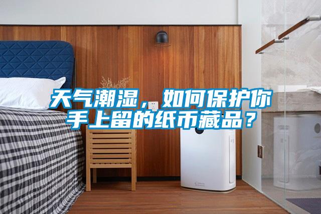 天氣潮濕，如何保護你手上留的紙幣藏品？
