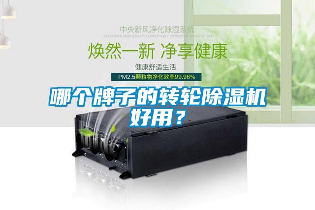 哪個牌子的轉(zhuǎn)輪除濕機好用？