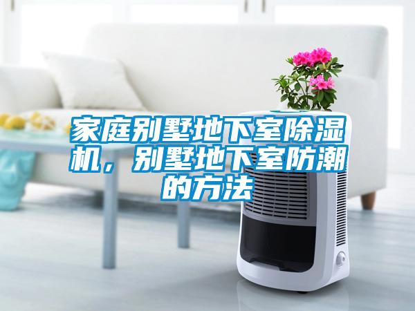 家庭別墅地下室除濕機(jī)，別墅地下室防潮的方法