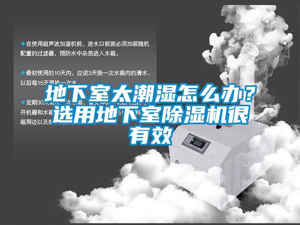 地下室太潮濕怎么辦？選用地下室除濕機(jī)很有效