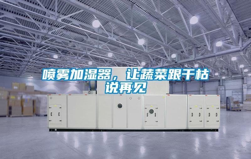 噴霧加濕器，讓蔬菜跟干枯說再見