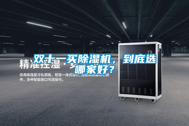 雙十一買(mǎi)除濕機(jī)，到底選哪家好？
