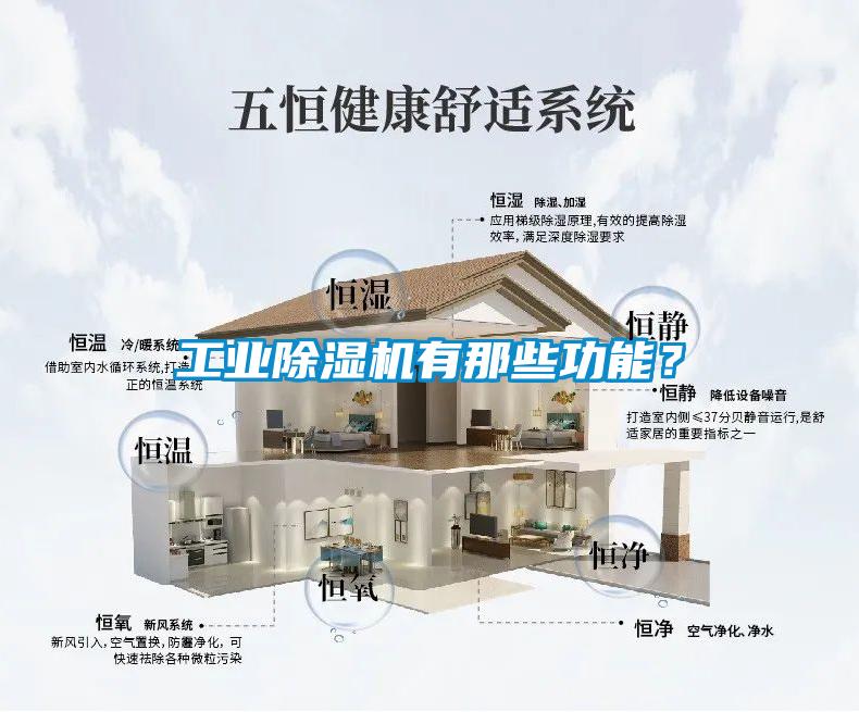 工業(yè)除濕機(jī)有那些功能？