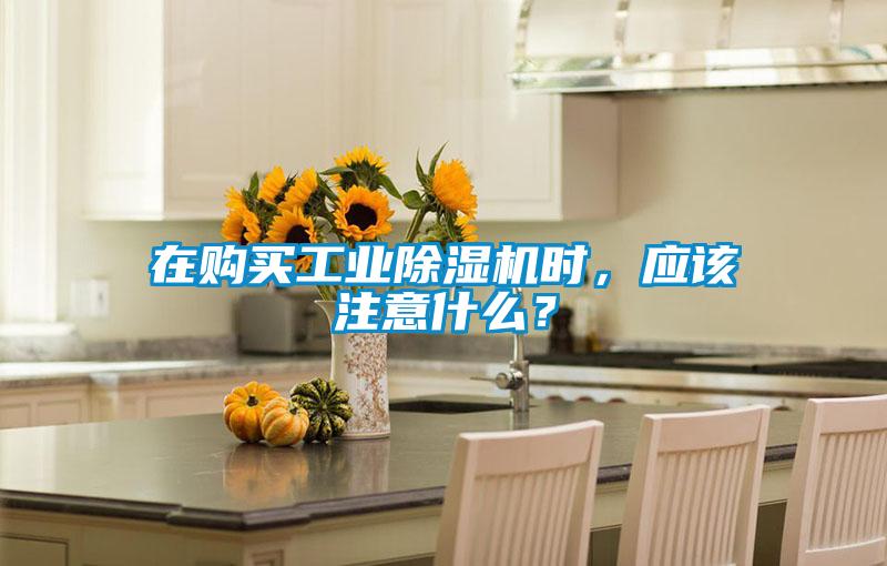 在購買工業(yè)除濕機(jī)時(shí)，應(yīng)該注意什么？
