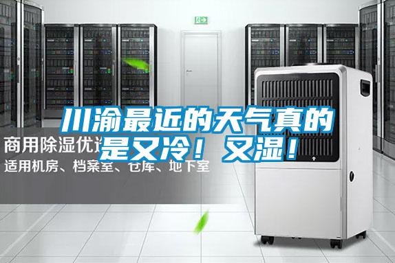 川渝最近的天氣真的是又冷！又濕！