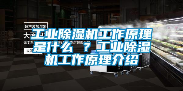 工業(yè)除濕機(jī)工作原理是什么 ？工業(yè)除濕機(jī)工作原理介紹