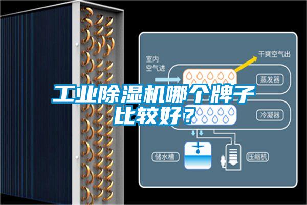 工業(yè)除濕機哪個牌子比較好？
