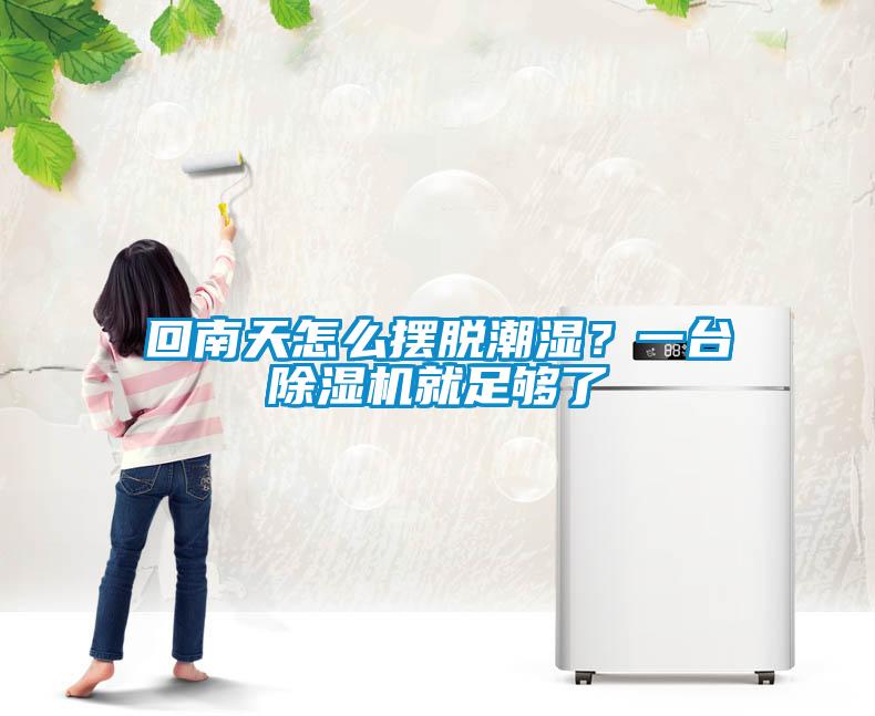 回南天怎么擺脫潮濕？一臺除濕機(jī)就足夠了