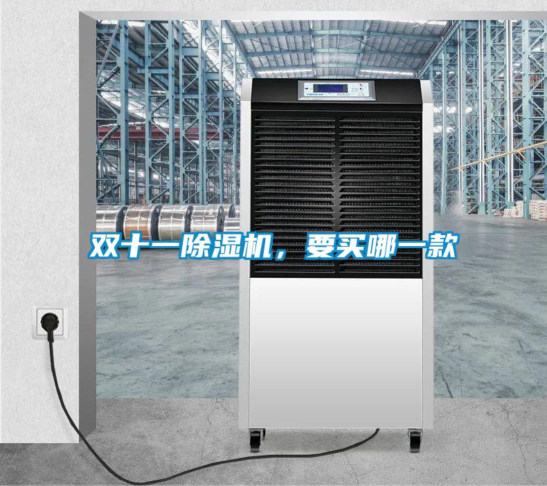 雙十一除濕機(jī)，要買(mǎi)哪一款