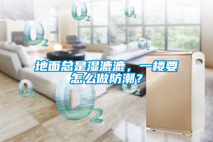 地面總是濕漉漉，一樓要怎么做防潮？