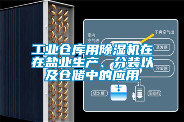工業(yè)倉庫用除濕機在在鹽業(yè)生產、分裝以及倉儲中的應用