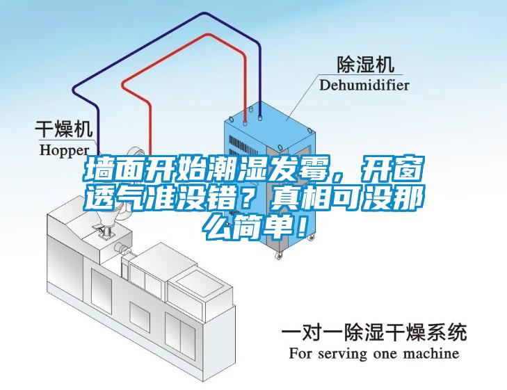 墻面開始潮濕發(fā)霉，開窗透氣準(zhǔn)沒錯(cuò)？真相可沒那么簡(jiǎn)單！