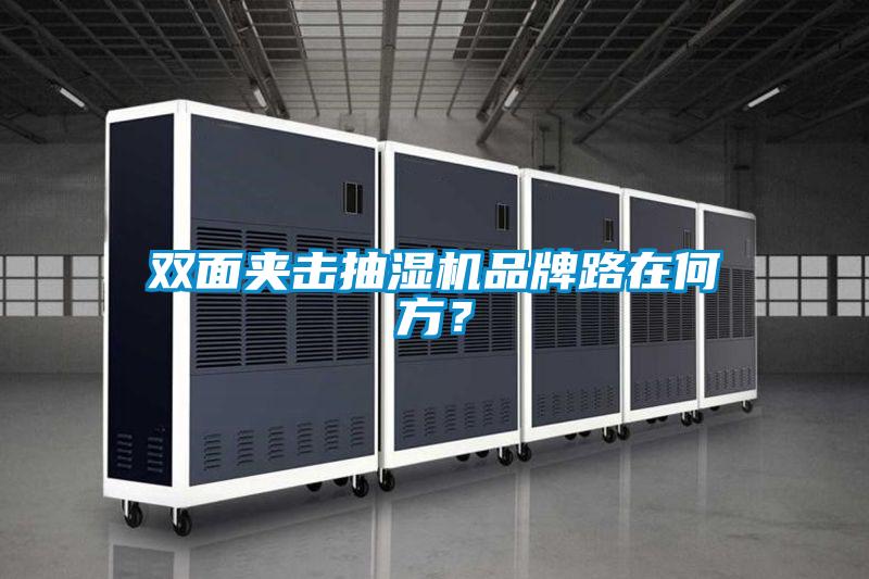 雙面夾擊抽濕機(jī)品牌路在何方？