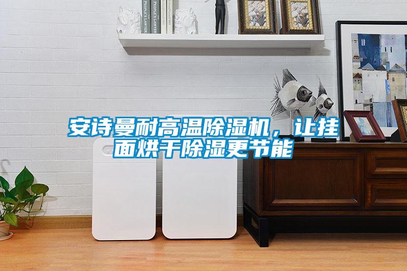 安詩曼耐高溫除濕機，讓掛面烘干除濕更節(jié)能