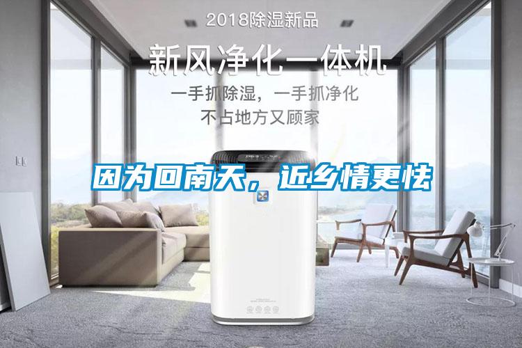 因?yàn)榛啬咸?，近鄉(xiāng)情更怯