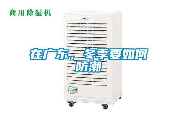 在廣東，冬季要如何防潮