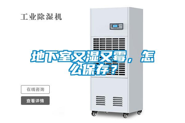 地下室又濕又霉，怎么保存？