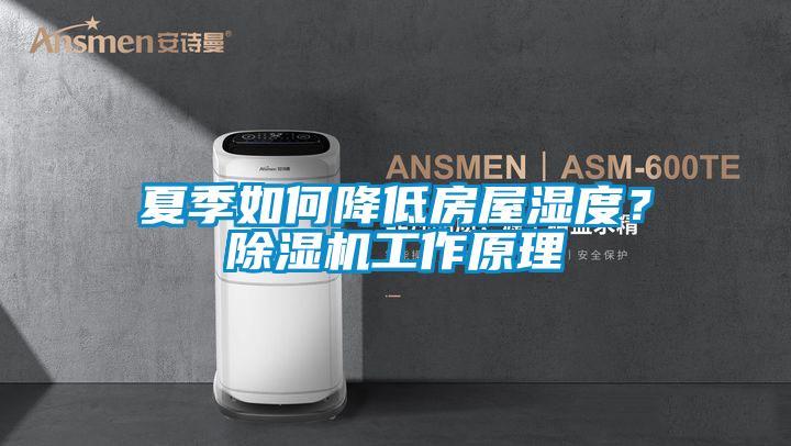 夏季如何降低房屋濕度？除濕機工作原理