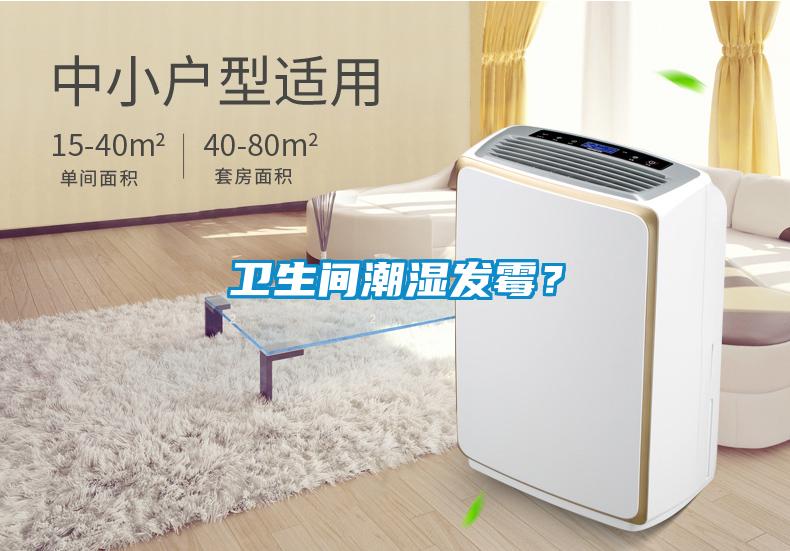 衛(wèi)生間潮濕發(fā)霉？
