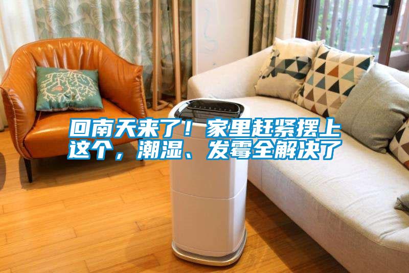 回南天來了！家里趕緊擺上這個(gè)，潮濕、發(fā)霉全解決了