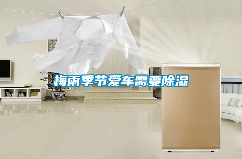 梅雨季節(jié)愛(ài)車(chē)需要除濕