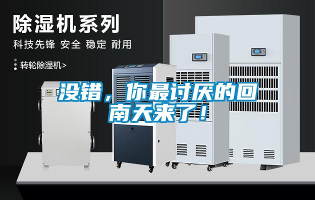 沒錯(cuò)，你最討厭的回南天來了！