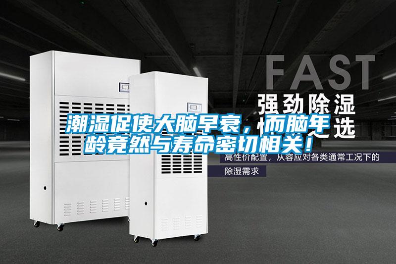 潮濕促使大腦早衰，而腦年齡竟然與壽命密切相關(guān)！