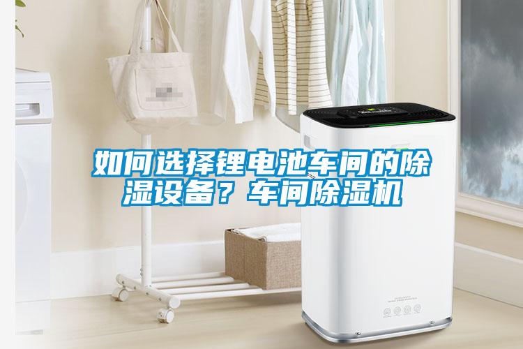 如何選擇鋰電池車(chē)間的除濕設(shè)備？車(chē)間除濕機(jī)
