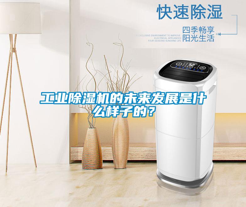 工業(yè)除濕機(jī)的未來發(fā)展是什么樣子的？
