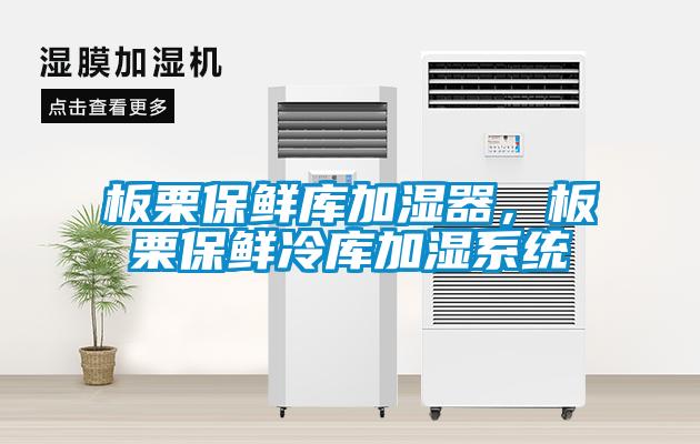 板栗保鮮庫加濕器，板栗保鮮冷庫加濕系統(tǒng)