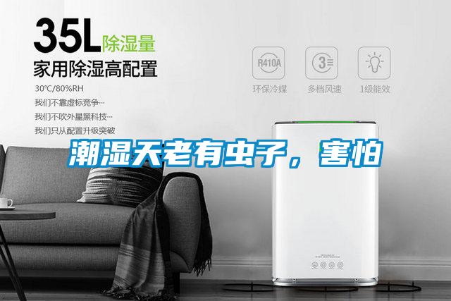 潮濕天老有蟲子，害怕