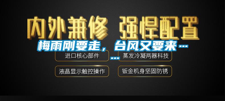 梅雨剛要走，臺風(fēng)又要來……