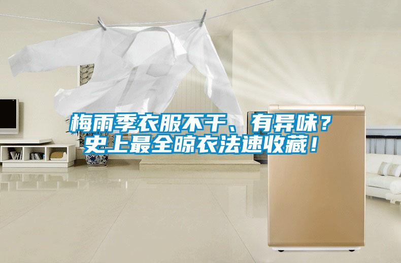 梅雨季衣服不干、有異味？史上最全晾衣法速收藏！