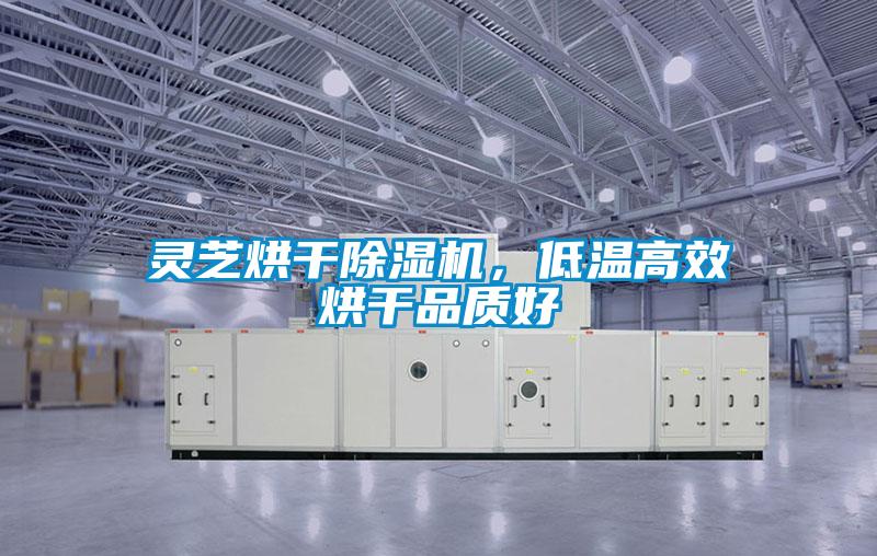 靈芝烘干除濕機，低溫高效烘干品質好