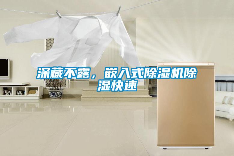 深藏不露，嵌入式除濕機除濕快速