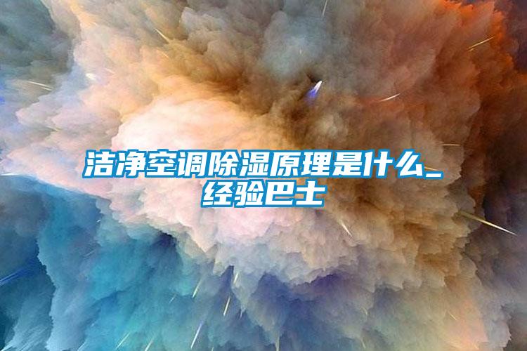 潔凈空調(diào)除濕原理是什么_經(jīng)驗巴士