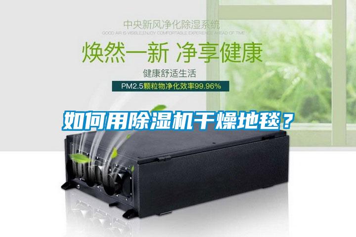 如何用除濕機(jī)干燥地毯？